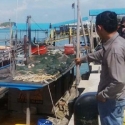 Cara Menteri Susi Berantas Illegal Fishing Menyalahi Konsep Konservasi Alam