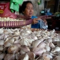 Naik Turun Harga Bawang Putih Ulah Spekulan