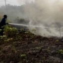 5 Provinsi Tetapkan Siaga Darurat Kebakaran Hutan Dan Lahan