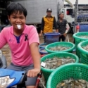 Thailand Tunda UU Ketenagakerjaan Baru Pasca Eksodus Pekerja Asing
