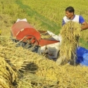 Pengusaha Boleh Saja Untung, Petani Jangan Sampai Buntung