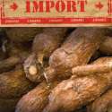 Singkong Impor Bikin Petani Lokal Tekor...