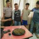 Bandar Dibekuk Bersama 1 Kg Ganja Kering Siap Edar