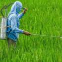 Pertanian Butuh Densus Anti Hama
