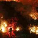 Kebakaran Di California Merambah Kota Pesisir