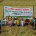 Gerakan Panen Bersama Pastikan Stok Pangan Aman