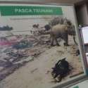 Pelajar Aceh Peringati 13 Tahun Tsunami Lewat Lukisan