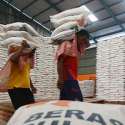 Impor Beras Jelang Panen Raya Bikin Petani Menangis