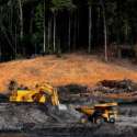 Walhi: Evaluasi Izin Tambang Di Areal Hutan Lindung!