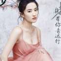Liu Yifei, Putus Gara-gara Konflik Korsel-China?