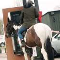 Pria Ini Tunggangi Kuda Saat Pesan <i>Drive-thru</i> McDonald