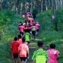Ayo Ikuti Keseruan Berlari Di Banyuwangi Ijen Green Run
