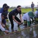 Ibas Minta Petani Ngawi Pertahankan Predikat Lumbung Padi Nasional