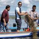 Pengalaman Baru, AHY Panen Rumput Laut Di Baubau