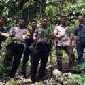 Ungkap Ladang Ganja, Dua Anggota Polres Nias Selatan Kena Ranjau Paku