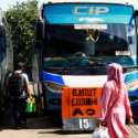 Pemprov Himbau Masyarakat Berangkat Dari Terminal Resmi, Bukan Terminal Bayangan