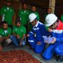 PGE Area Karaha Garap Kelompok Tani Kopi Di Tasikmalaya