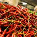 Harga Cabe Makin Pedas