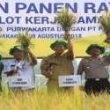 Purwakarta Gelar Panen Raya Demplot Padi Di Lahan Percontohan