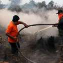 Pengamat: Isu Karhutla Tidak Strategis Buat Menurunkan Elektabilitas Jokowi