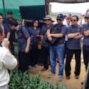 Diplomat Indonesia Diharapkan Promosikan Kelapa Sawit