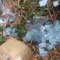 Ribuan KTP-el Ditemukan Tercecer Di Serang