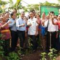 Kawasan Rumah Pangan Lestari Mampu Sejahterakan Keluarga