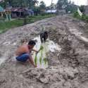 Kecewa Jalan Rusak Parah, Warga Tanami Padi
