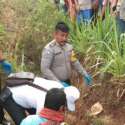 Hilang Seminggu, Seorang Kakek Ditemukan Tewas di Sawah