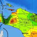 Komisi I Minta Dunia Internasional Lihat Masalah Papua Lebih Objektif