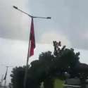 Bendera PDIP Terpasang Di Tiang Listrik, Satpol PP DKI Tak Mau Bertindak Sembarang
