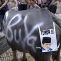 Pengamat: Didemo Bawa Kerbau, Hasil Pemilu 2004 Dan 2009 Negara Tetap Stabil