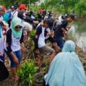 Peduli Lingkungan, Siswa SMA Tanam Bakau Di Teluknaga