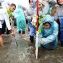 Ketum Dharma Pertiwi Dampingi Ibu Negara Tanam Mangrove di Pantai Labuan