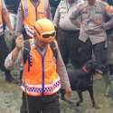 Sisir Korban Banjir, Polda Papua Turunkan 15 Anjing Pelacak