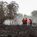 Total Tahun Ini, 1.766 Hektare Lahan Di Riau Terbakar