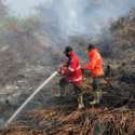 Perusahaan Pembakar Hutan Tak Akan Kapok