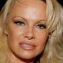 Julian Assange Ditangkap, Pamela Anderson Ngomel Di Twitter