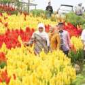 Khofifah Terpesona Destinasi Agrowisata Banyuwangi