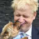 PM Inggris Ingin Pelihara Anjing Di Downing Street