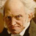 Hinamologi Schopenhauer