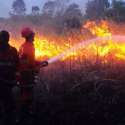 Direktur Operasional Bumi Hijau Lestari Jadi Tersangka Karhutla