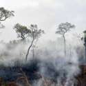 Kebakaran Hutan Bolivia Hanguskan Lahan 1,7 Juta Hektar