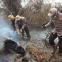 Mardani: Oknum Pembakar Lahan Kerap Manfaatkan Celah Kearifan Lokal