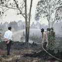Jokowi Simpulkan Pembakaran Hutan Di Riau Terorganisir