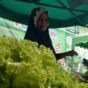 Harga Bahan Pokok Naik, Daya Beli Petani Meningkat Tipis