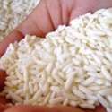 Alasan Di Balik Rencana Impor Beras Ketan Harus Diurai