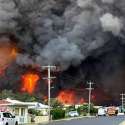Kebakaran Hutan Merembet Ke Permukiman, 2 Orang Meninggal Dan 100 Unit Rumah Hangus
