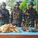 Gelapkan Tanduk Rusa Dan Gelembung Ikan, Seorang Pria Diciduk Prajurit TNI