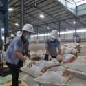 Kekurangan Pasokan Gas, Pabrik Pupuk Terancam Setop Operasi